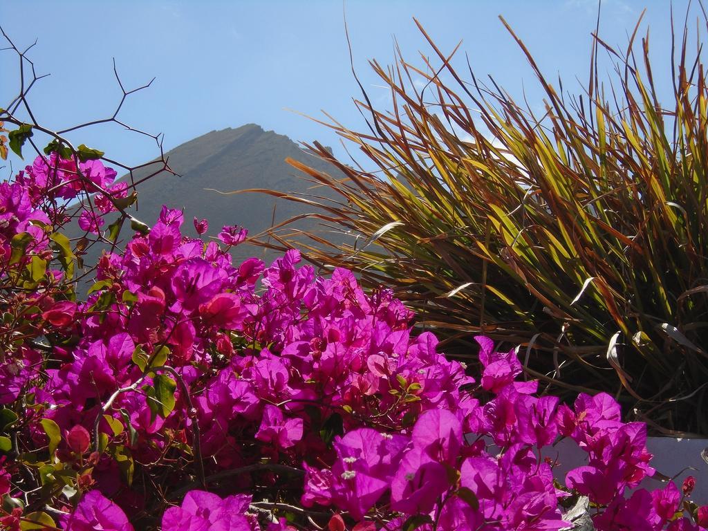 El Cortijo Eco Finca Otel Ye Dış mekan fotoğraf