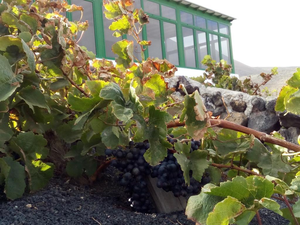El Cortijo Eco Finca Otel Ye Dış mekan fotoğraf